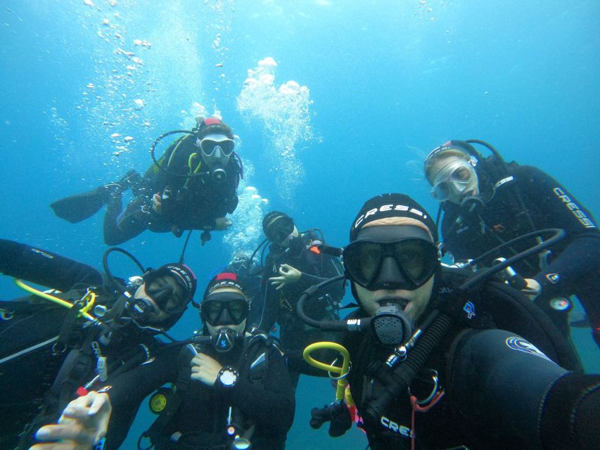 Gran Canaria: Discover Scuba Diving - Free Transfers - Amadores or Tufia: Why Your Underwater Spot Changes