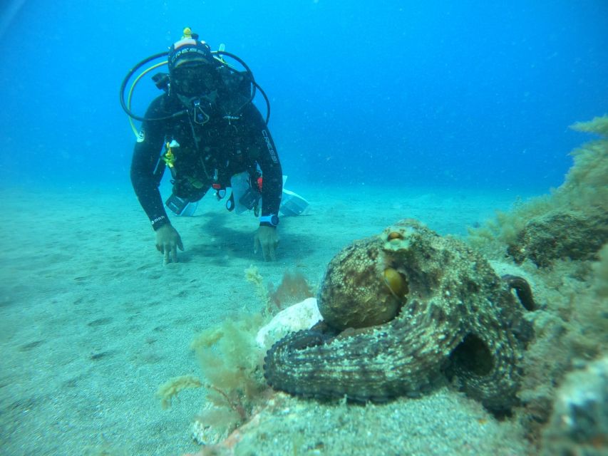 Gran Canaria: Discover Scuba Diving - Free Transfers - The Main Event: About 50 Minutes Underwater