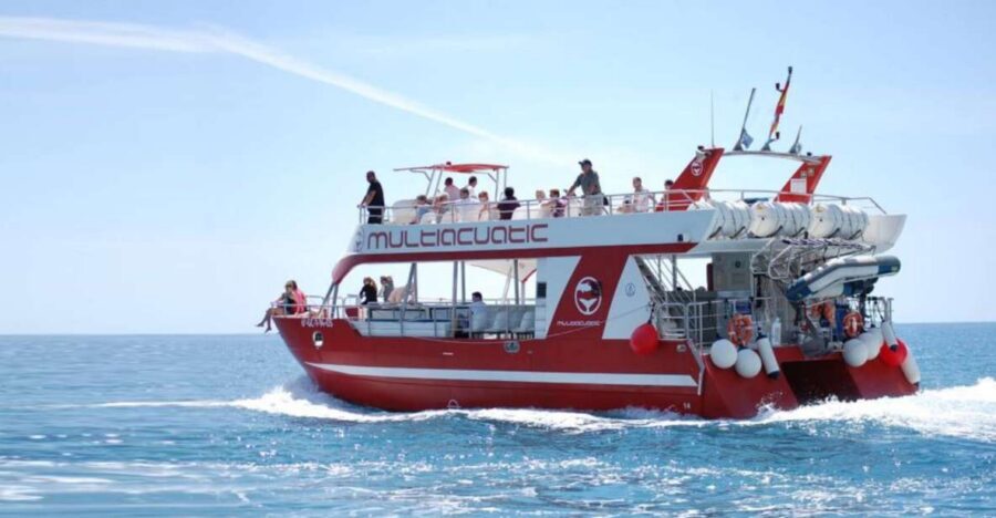 Gran Canaria: Dolphin and Whale Watching Cruise - Puerto Rico to the Southwest: What the Cruise Really Sets Up