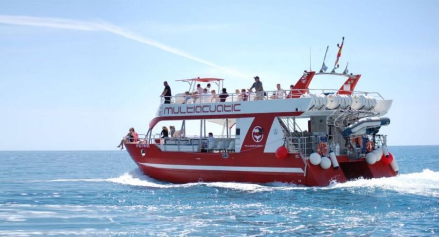 Gran Canaria: Dolphin and Whale Watching Cruise - Spotting Dolphins and Whales: The Marine Guide’s Job