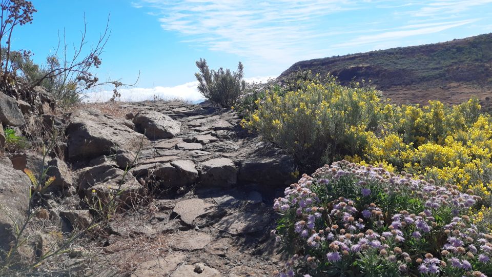 Gran Canaria: Full-Day Guided Hiking With Snacks - The small-group hike highlights