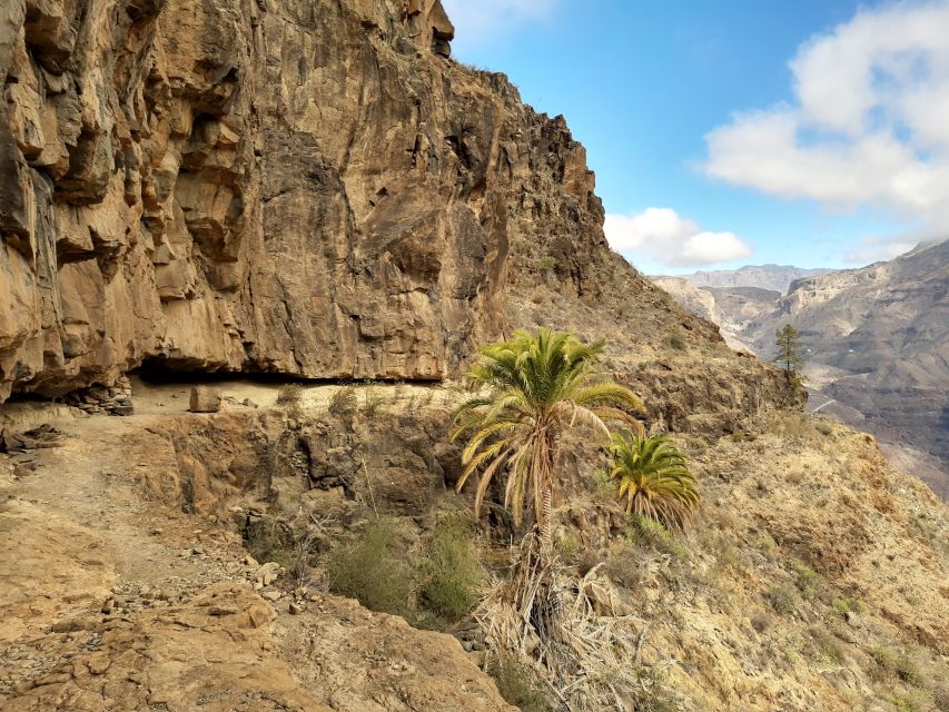 Gran Canaria: Full-Day Guided Hiking With Snacks - “Snacks” that are more than snacks: food, drinks, and lunch time