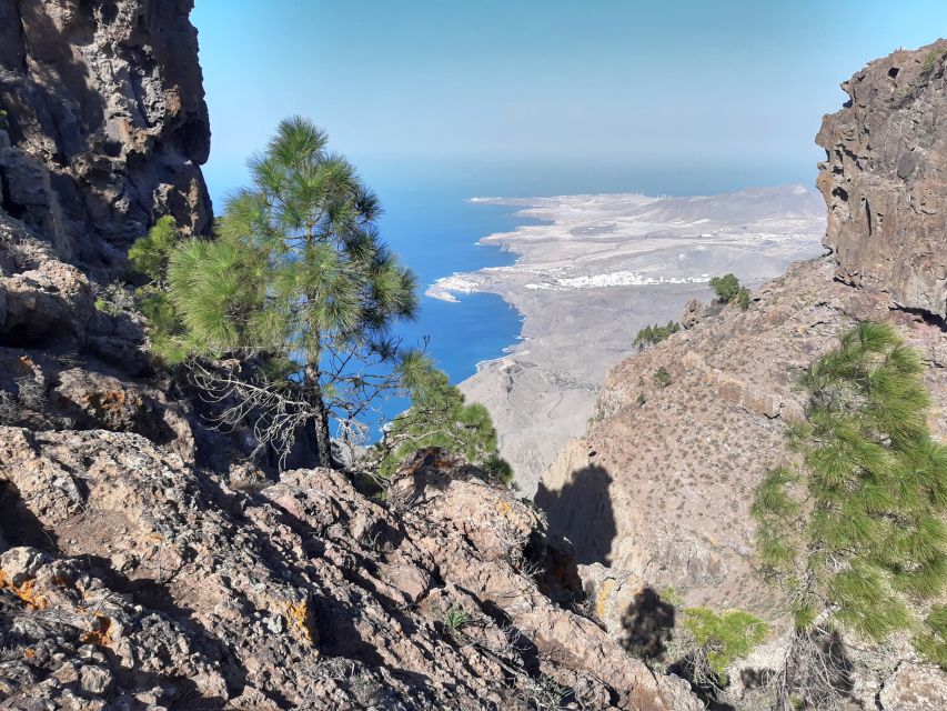 Gran Canaria: Full-Day Guided Hiking With Snacks - What you might see: gorges, forests, and viewpoint payoff