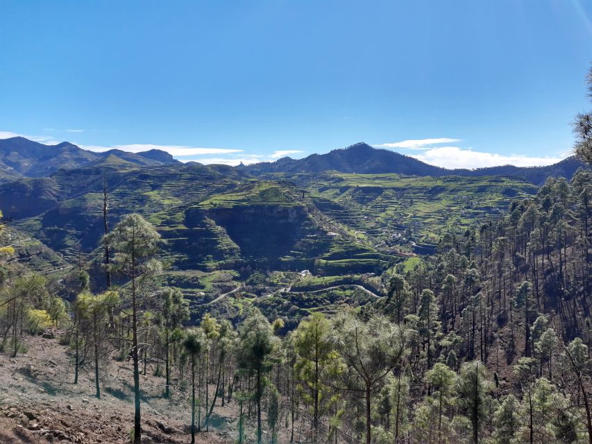 Gran Canaria: Full-Day Guided Hiking With Snacks - Price and value: is $82 worth it?