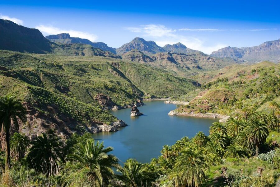 Gran Canaria: Full-Day VIP Tour by Bus - Firgas and the green interior: mountain farms and quick town texture