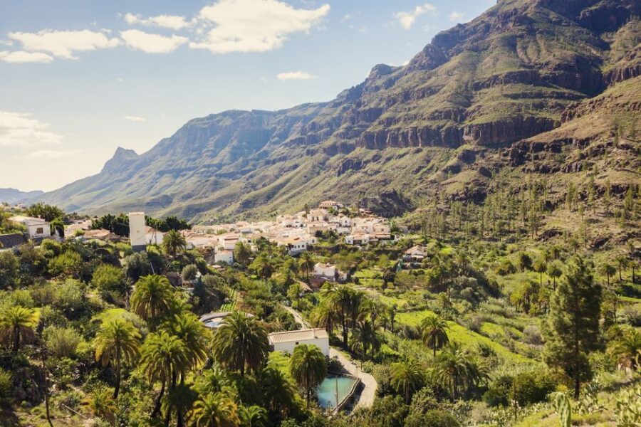 Gran Canaria: Full-Day VIP Tour by Bus - Roque Nublo and the high-country viewpoints