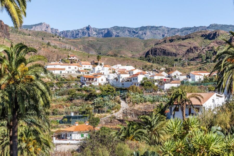 Gran Canaria: Full-Day VIP Tour by Bus - Price and what your $58 actually buys