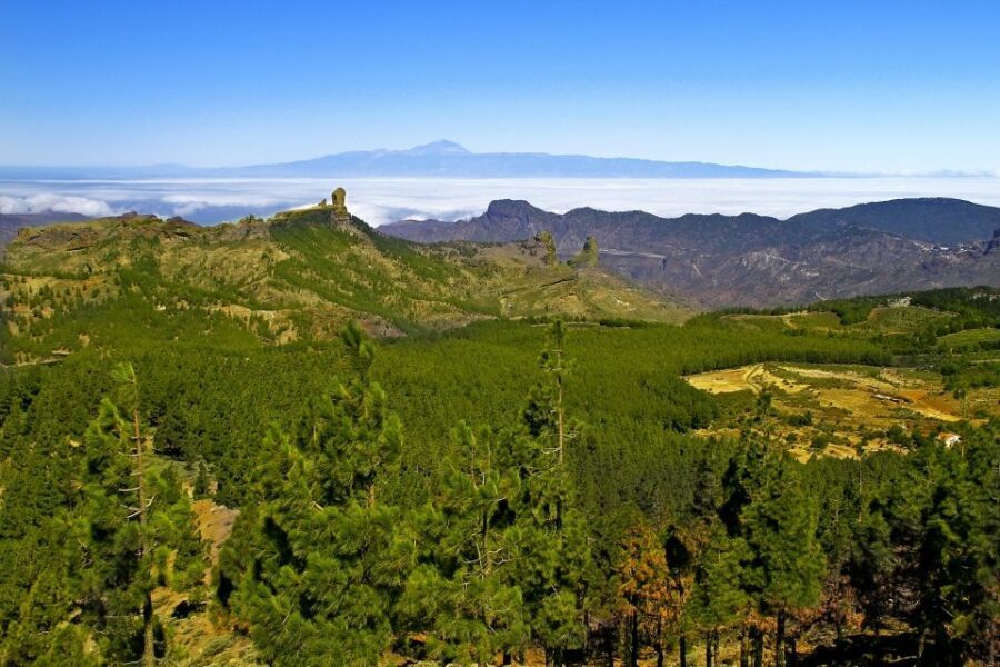Gran Canaria: Full-Day VIP Tour by Bus - Road comfort, timing, and the mountain-road reality