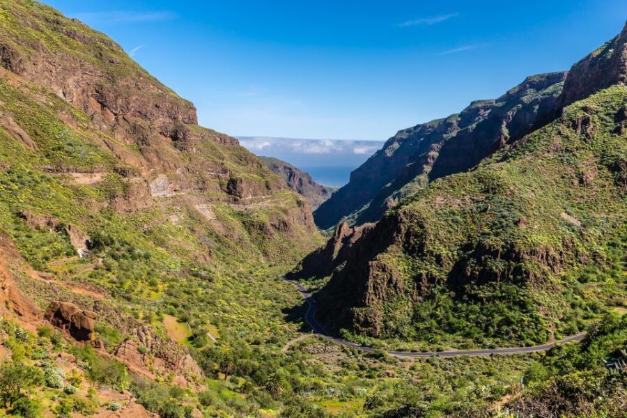 Gran Canaria: Full-Day VIP Tour by Bus - Aloe vera plantation stop: why this is more than a quick show