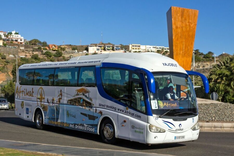 Gran Canaria: Fun Catamaran Cruise with Food and Drinks - A proper half-day on the water, built around you getting wet