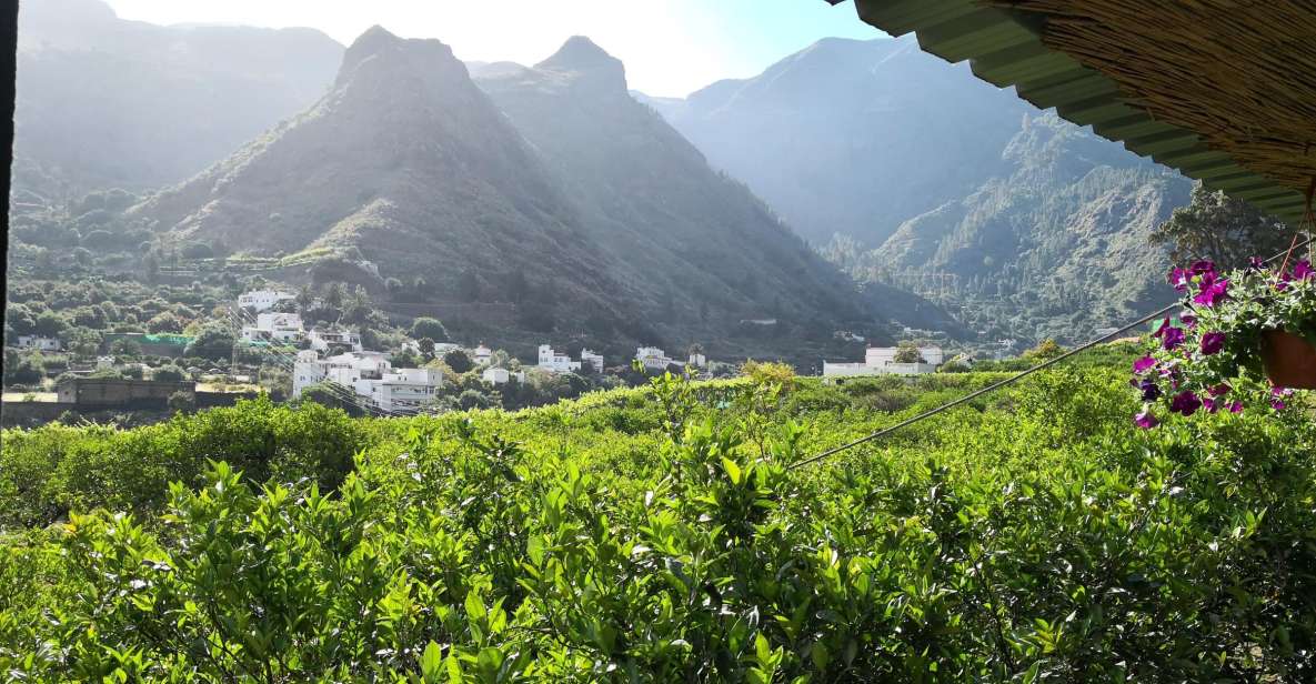 Gran Canaria: Grand Island Tour by Bus with Transfers - Key highlights at a glance