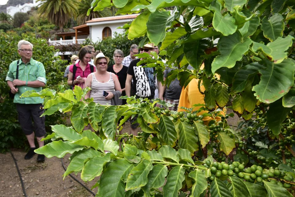 Gran Canaria: Grand Island Tour by Bus with Transfers - How Long Are the Stops Really? Big Bus Rhythm in One Sentence