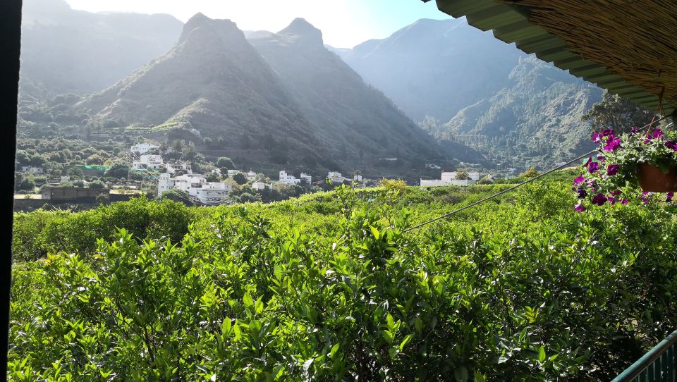 Gran Canaria: Grand Island Tour by Bus with Transfers - Pickups in the South: Convenient, But Watch the Clock