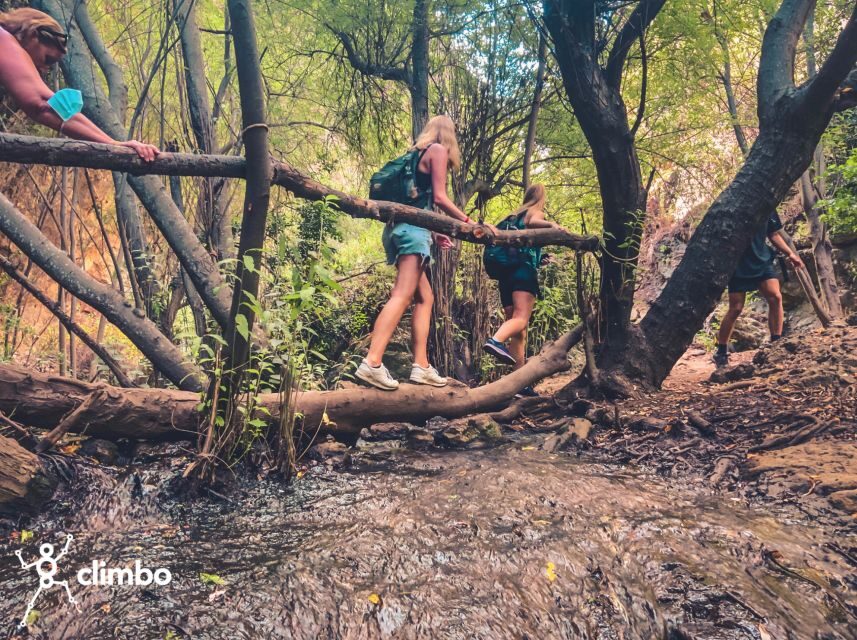 Gran Canaria: Guided Day Tour to Rainforest with Tasting - Who this tour is best for (and who should skip it)
