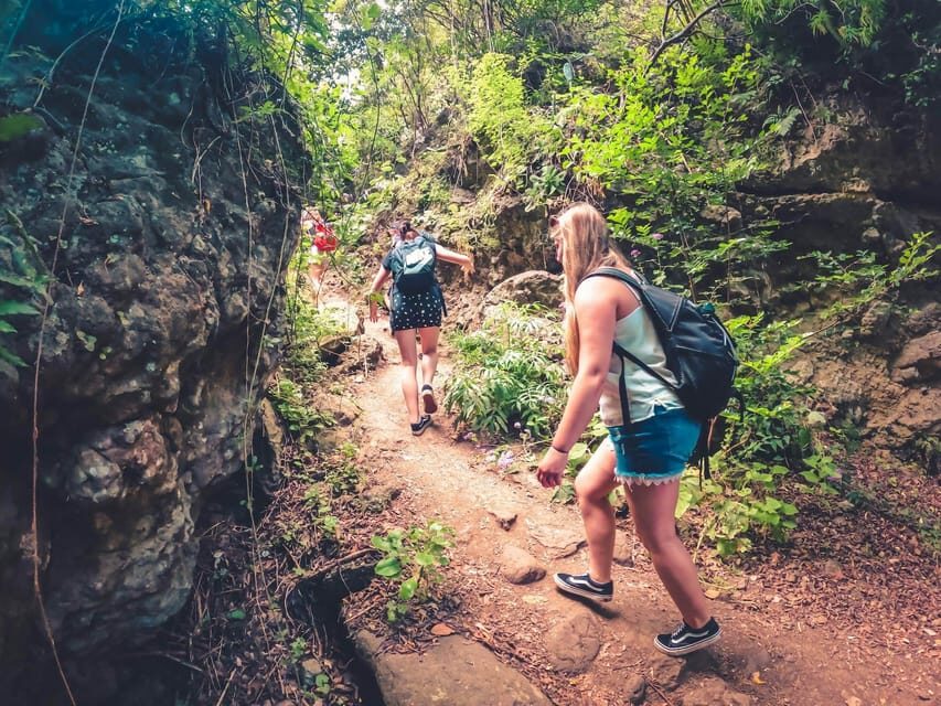 Gran Canaria: Guided Day Tour to Rainforest with Tasting - Why this Gran Canaria rainforest day feels different