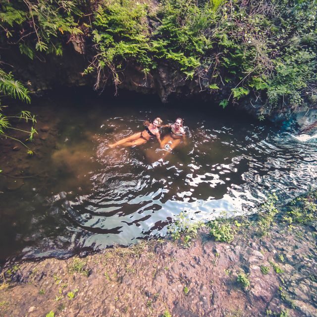 Gran Canaria: Guided Day Tour to Rainforest with Tasting - Price and value: what $105 buys you on this day tour