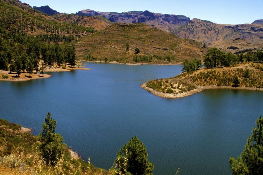Gran Canaria Highlights Full-Day Tour by Bus - Why this Gran Canaria bus loop is such good value