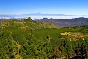 Gran Canaria Highlights Full-Day Tour by Bus - Getting on board: pickups, timing, and where you meet near Playa del Ingles