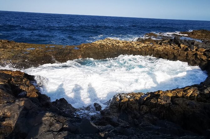 Gran Canaria Highlights Private Tour VIP - Tunte, Wine Country Stories, and a Very Canarian Coffee Break