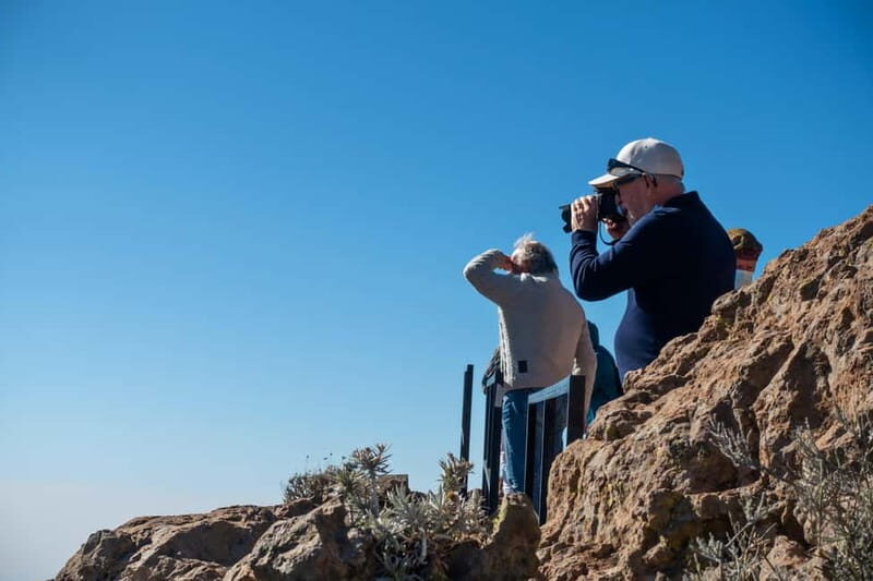 Gran Canaria: Island Highlights Tour with Optional Lunch - Getting from Maspalomas to the viewpoints without the hassle