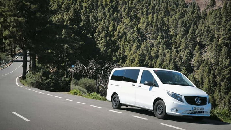 Gran Canaria: Island Highlights Tour with Optional Lunch - Caldera de Bandama: volcanic views with quick, focused timing