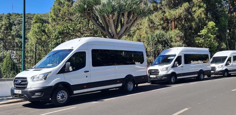 Gran Canaria: Island Highlights Tour with Optional Lunch - Cruz de San Antonio and Presa del Mulato: short stops with meaning