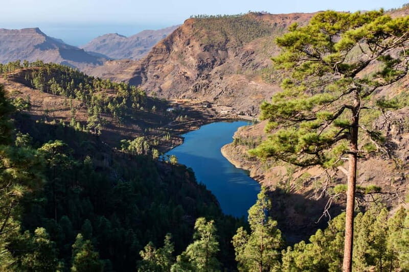Gran Canaria: Island Highlights Tour with Optional Lunch - Aloe Vera Finca Canarias: a guided farm stop that breaks up the driving