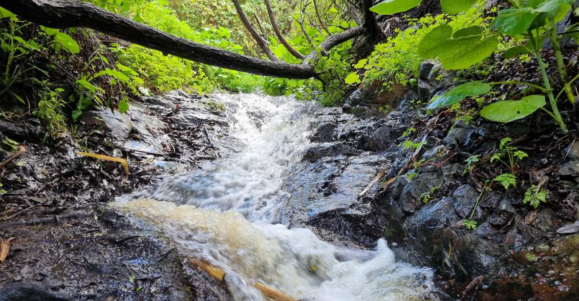 Gran Canaria: "Magic Waterfalls" Hiking Tour - From Hotel Pickup to Waterfall Country in One Big Block of Time