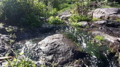 Gran Canaria: "Magic Waterfalls" Hiking Tour - The Microclimate Story: Why These Waterfalls Feel Different