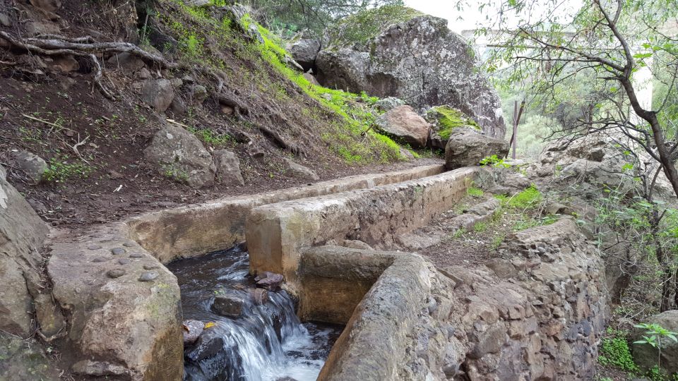 Gran Canaria: "Magic Waterfalls" Hiking Tour - The Trail Reality: When Heights Feel Like a Problem