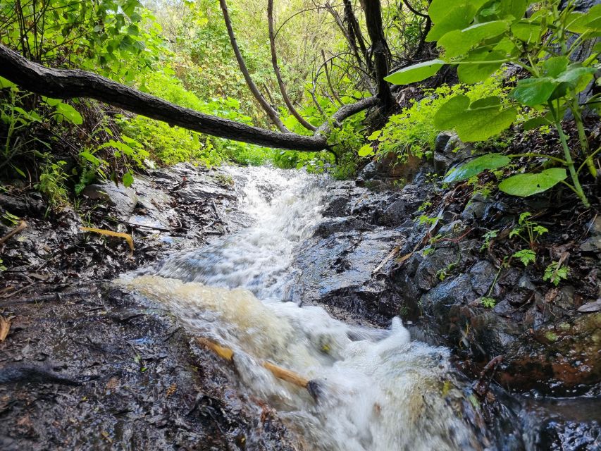 Gran Canaria: "Magic Waterfalls" Hiking Tour - Meet the Guide: Small Group Means Real Safety and Real Answers