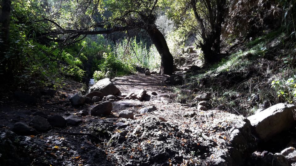 Gran Canaria: "Magic Waterfalls" Hiking Tour - Price and Value: Why $74 Can Actually Feel Like a Deal