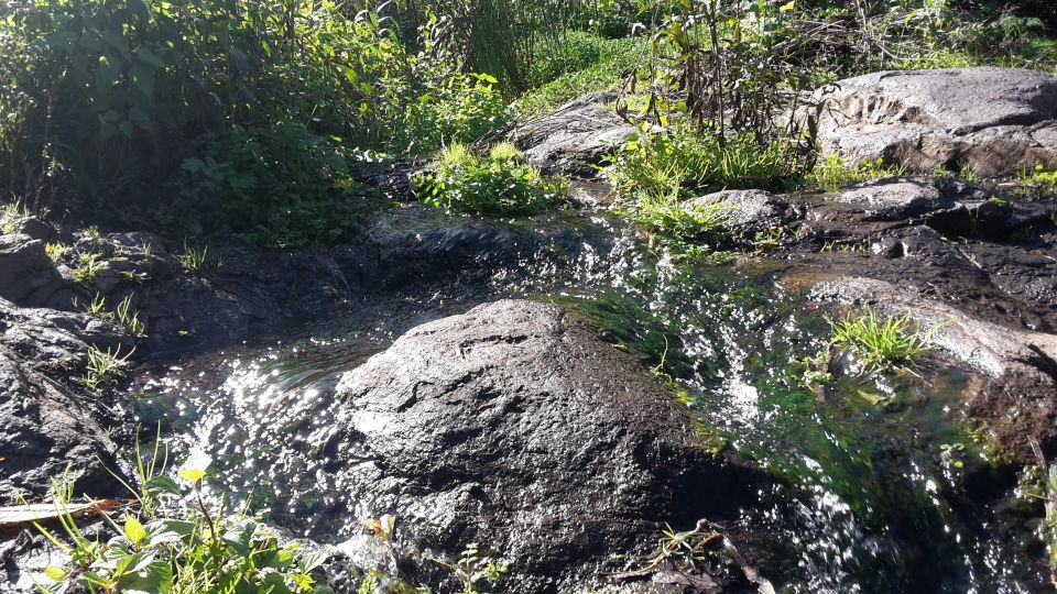 Gran Canaria: "Magic Waterfalls" Hiking Tour - The Microclimate Story: Why These Waterfalls Feel Different
