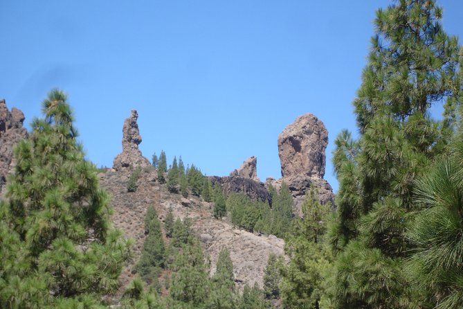 Gran Canaria Peaks Full-Day Tour from Las Palmas - High Peaks and Forested Views: What the Day Actually Feels Like