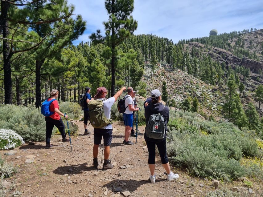 Gran Canaria: "Peaks of Gran Canaria" Hiking Tour - Key points to know