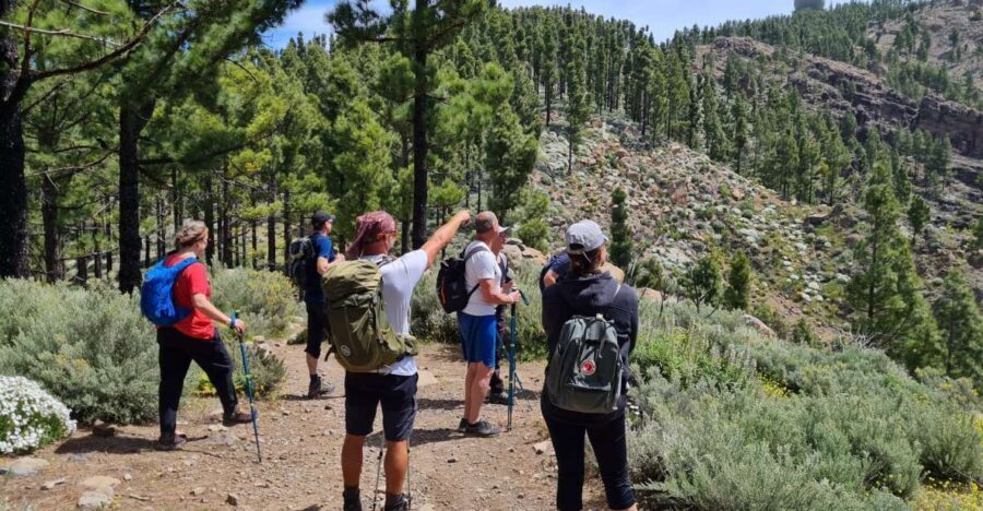 Gran Canaria: "Peaks of Gran Canaria" Hiking Tour - Hotel pickup, then straight to the peaks