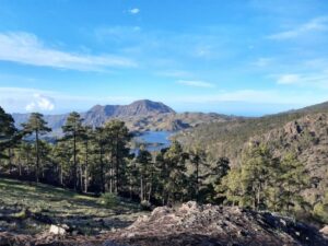 Gran Canaria: "Peaks of Gran Canaria" Hiking Tour - Why the guide matters (and why Maciej gets repeat bookings)
