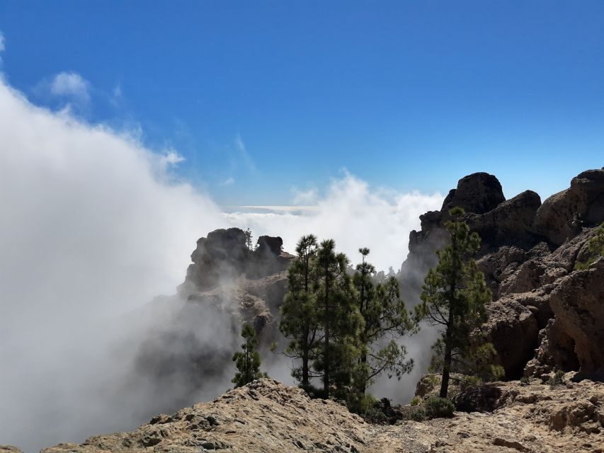 Gran Canaria: "Peaks of Gran Canaria" Hiking Tour - Route options by day: 7 km or 10 km, and how hard it feels