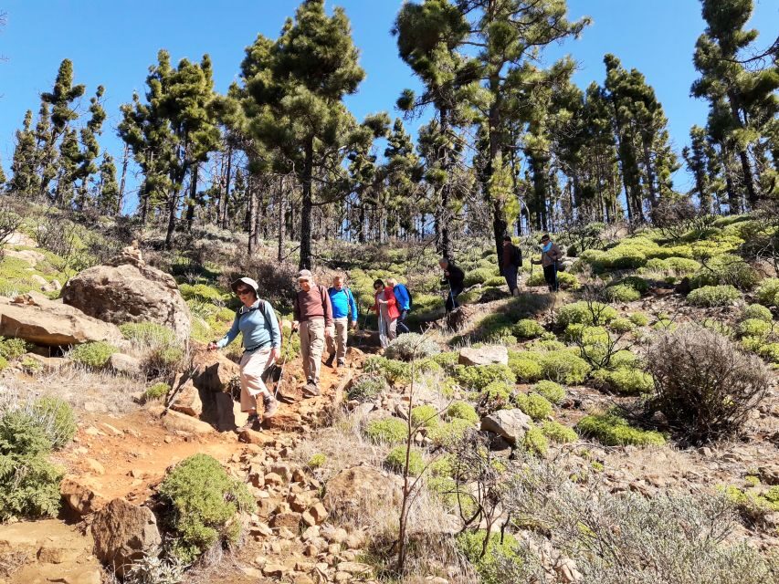 Gran Canaria: "Peaks of Gran Canaria" Hiking Tour - Price and value: $82 that covers the hard parts