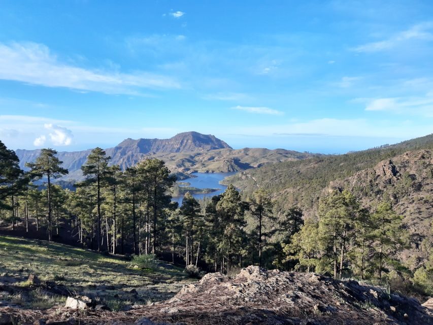Gran Canaria: "Peaks of Gran Canaria" Hiking Tour - Why the guide matters (and why Maciej gets repeat bookings)