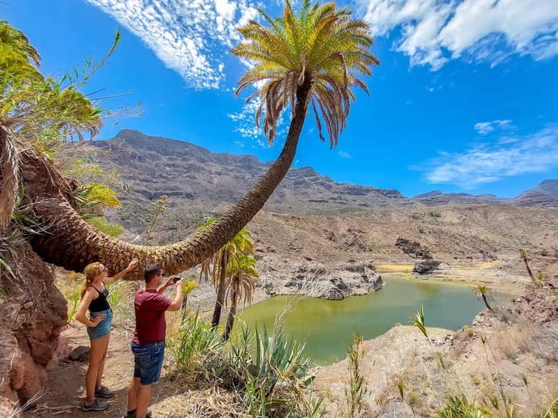 Gran Canaria: Red Gorge, Cave, Oasis Adventure Tour & Picnic - Key highlights to look for