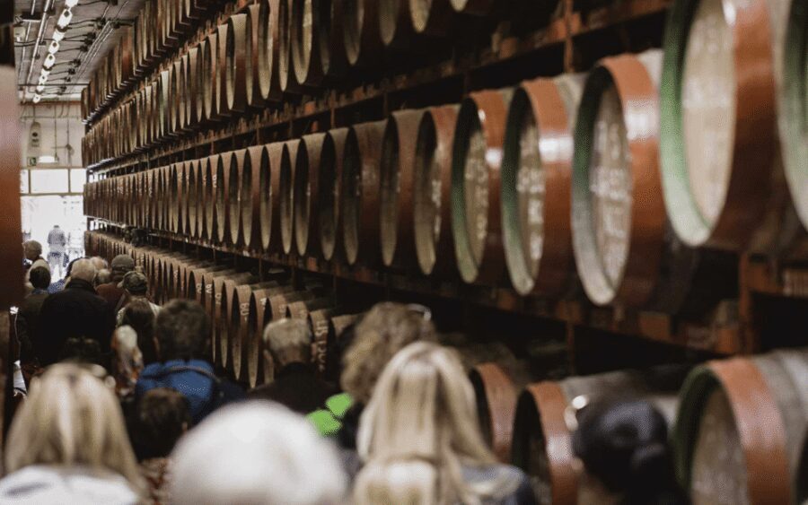 Gran Canaria: Rum, Wines and Banana Tour - Agaete for coffee and wine: volcanic flavors in plain sight