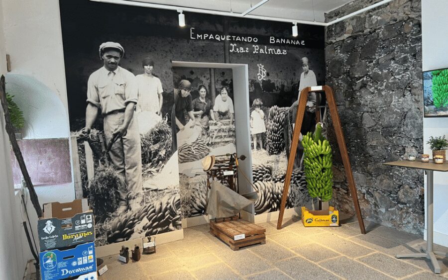 Gran Canaria: Rum, Wines and Banana Tour - Lunch reality: not included, optional, and you can sometimes skip it