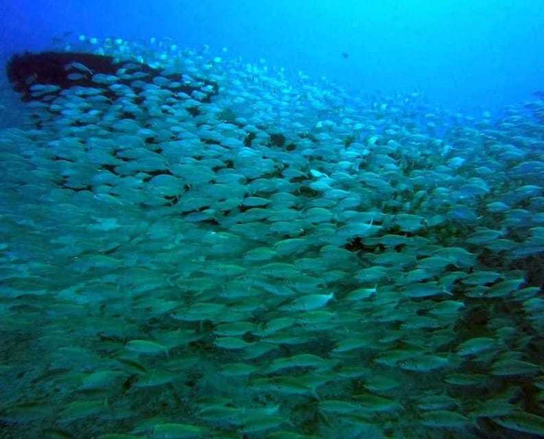 Gran Canaria: Scuba Diving for Beginners - Who should book this (and who should skip it)