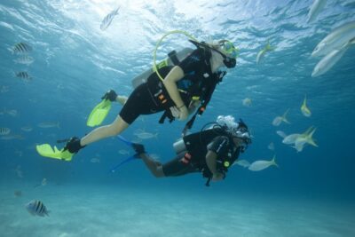 Gran Canaria: Scuba Diving for Beginners - Where you’ll start: Blue Water Diving by Puerto Escala Harbour