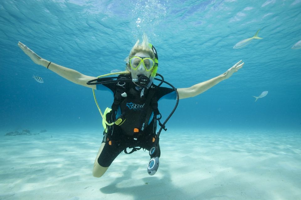 Gran Canaria: Scuba Diving for Beginners - Marine life in the Canary Islands: what you’ll likely notice