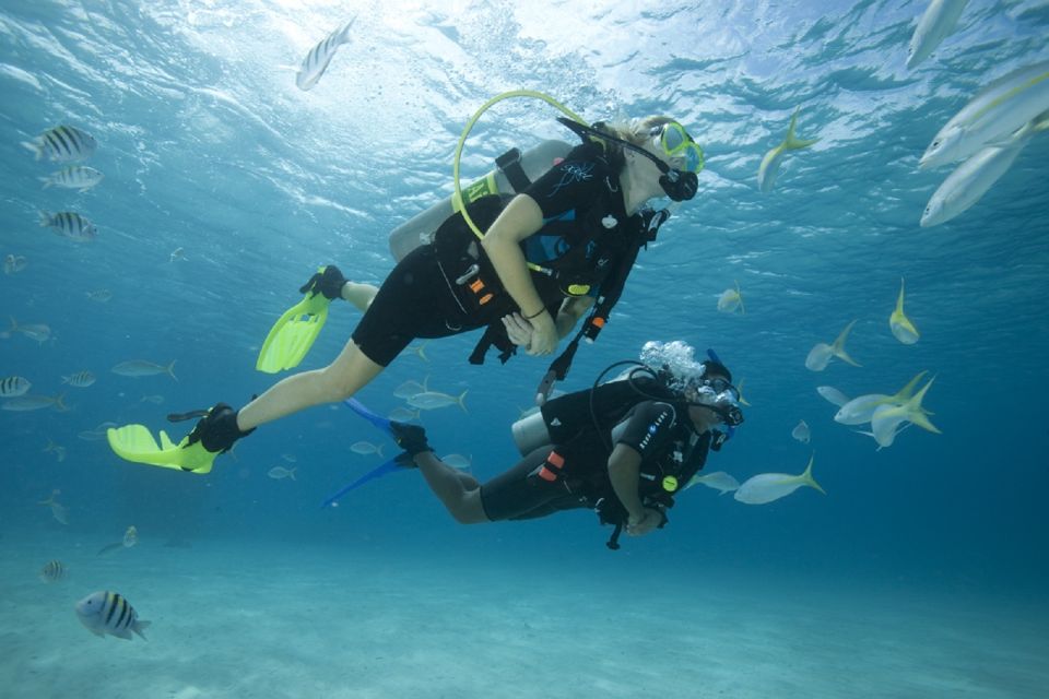 Gran Canaria: Scuba Diving for Beginners - Where you’ll start: Blue Water Diving by Puerto Escala Harbour