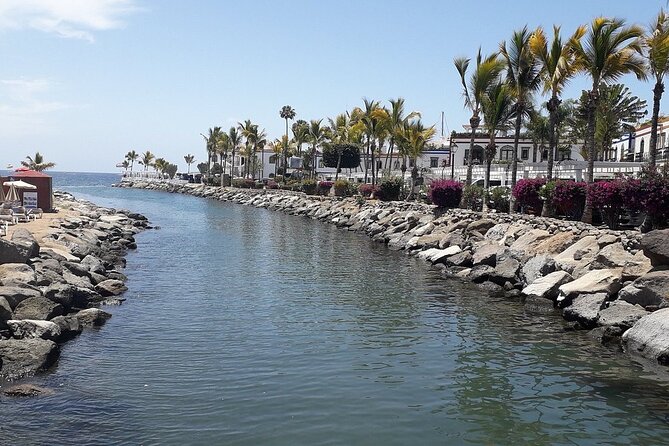 Gran canaria shopping day in Puerto Mogan - The market stop: 3 hours to shop, snack-free, and ask questions
