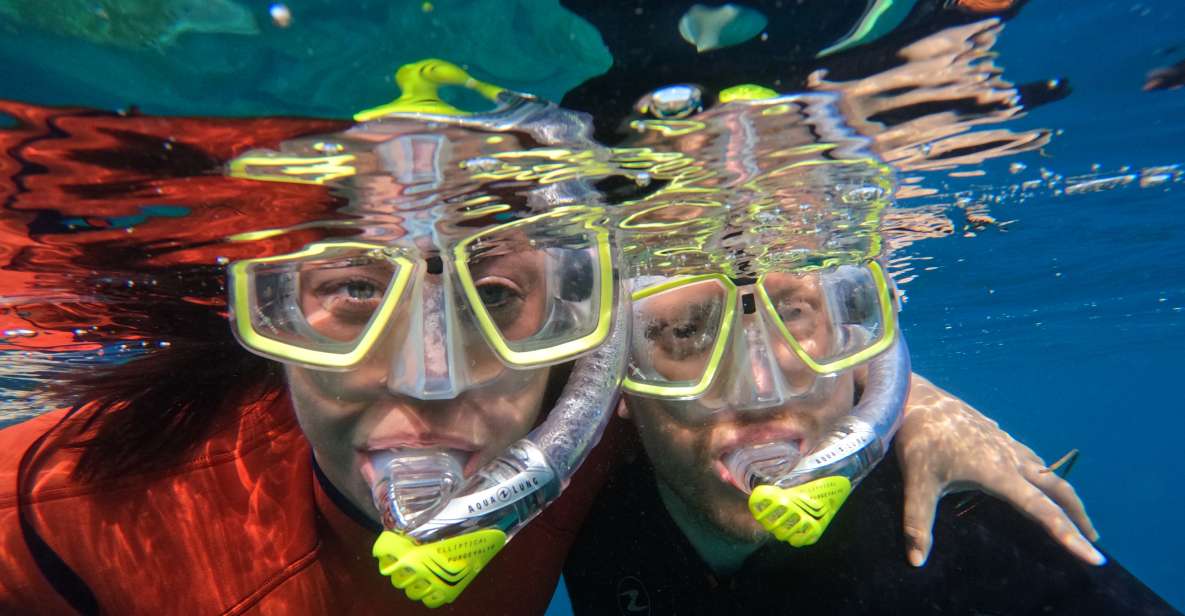 Gran Canaria: Snorkel tour with boat on the west coast - Southwest Gran Canaria snorkeling makes sense for first-timers and “serious” swimmers