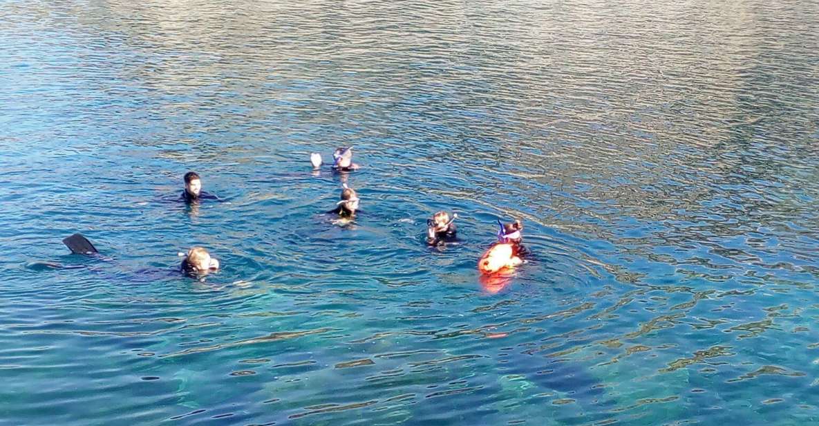 Gran Canaria: Snorkeling Trip - Key things that make this snorkel trip worth your time